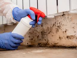  Morn, GA Mold Removal Services Pros